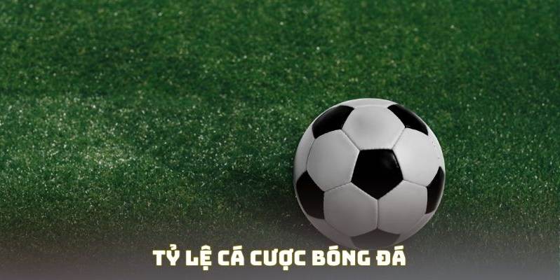 Cách Đọc Bảng Tỷ Lệ Kèo Hôm Nay